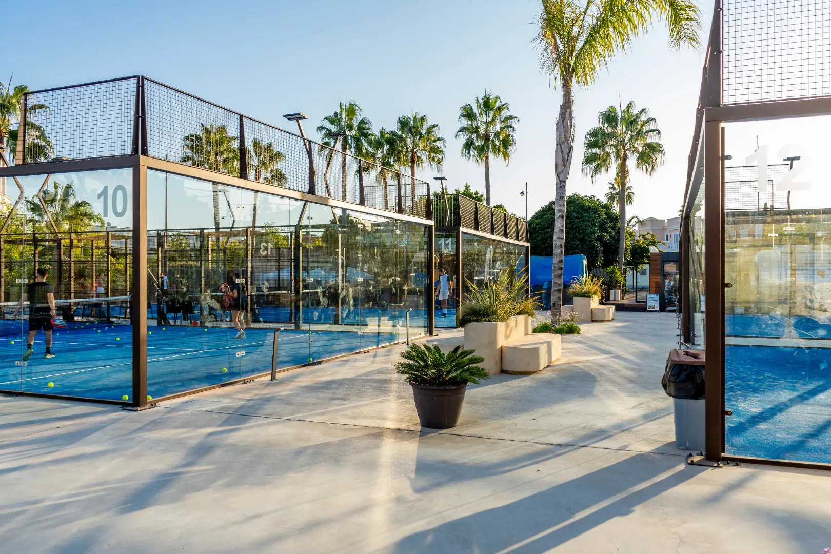 widok palm i kortów do padla w Hiszpanii